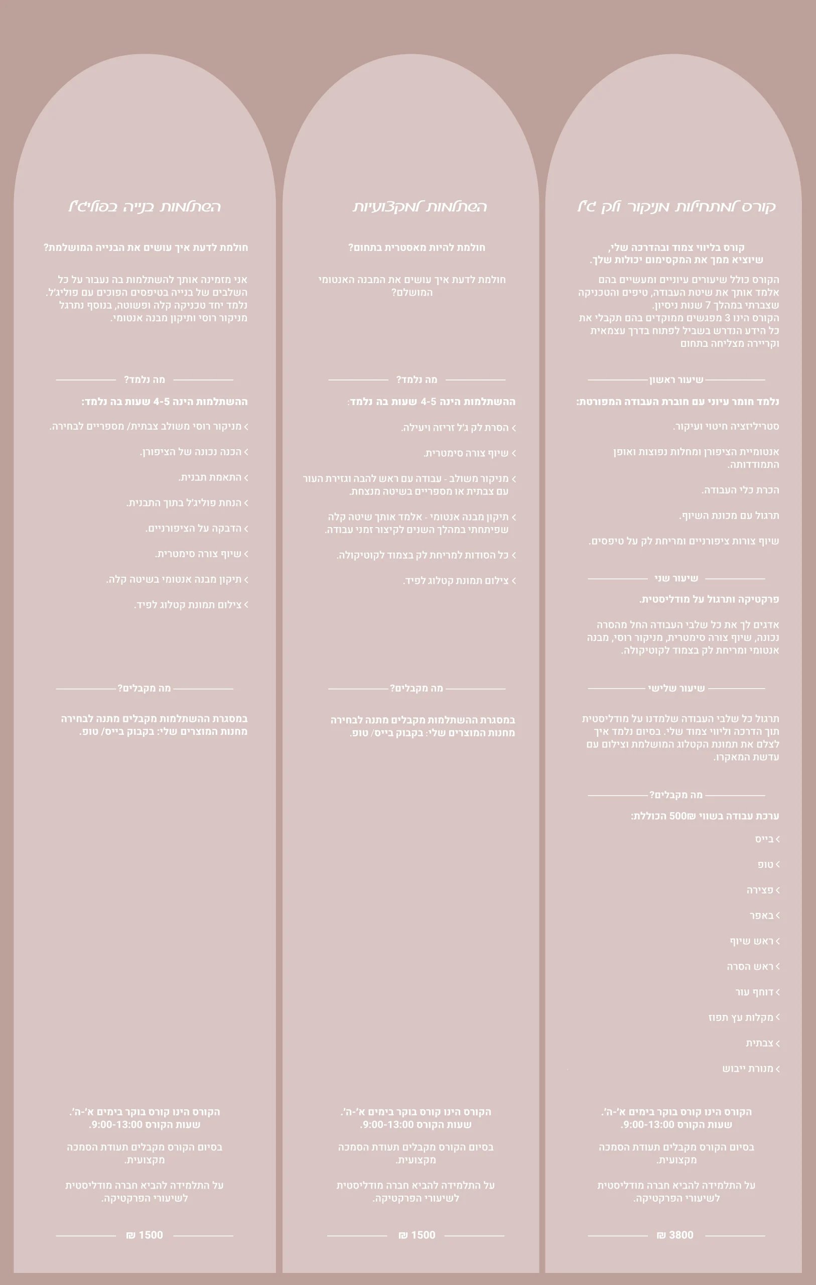 קורסים מעודכן 27